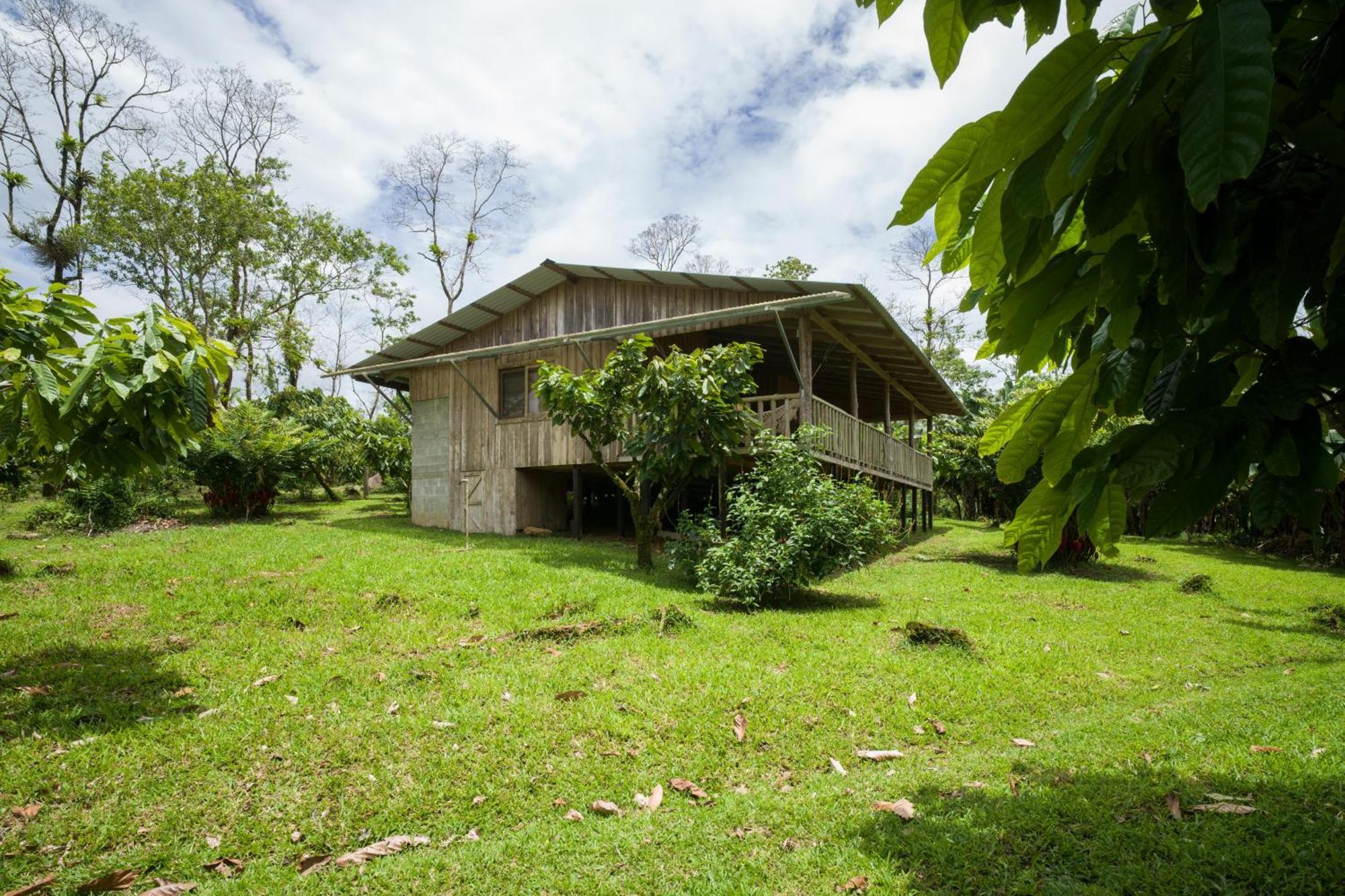 Finca Amistad Cacao Lodge Bijagua Dış mekan fotoğraf