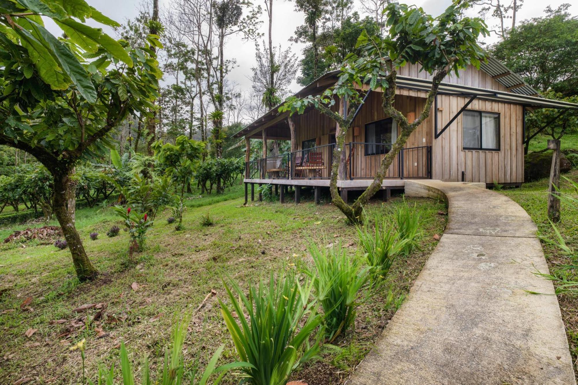 Finca Amistad Cacao Lodge Bijagua Dış mekan fotoğraf