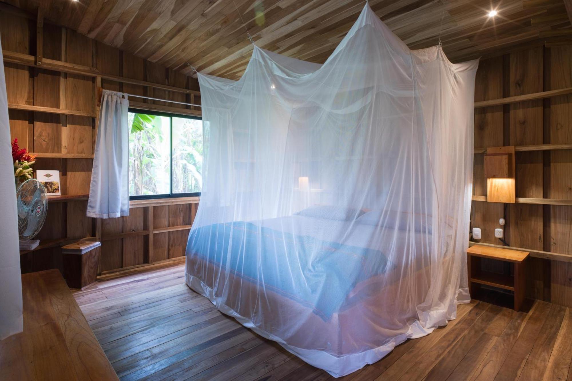 Finca Amistad Cacao Lodge Bijagua Dış mekan fotoğraf