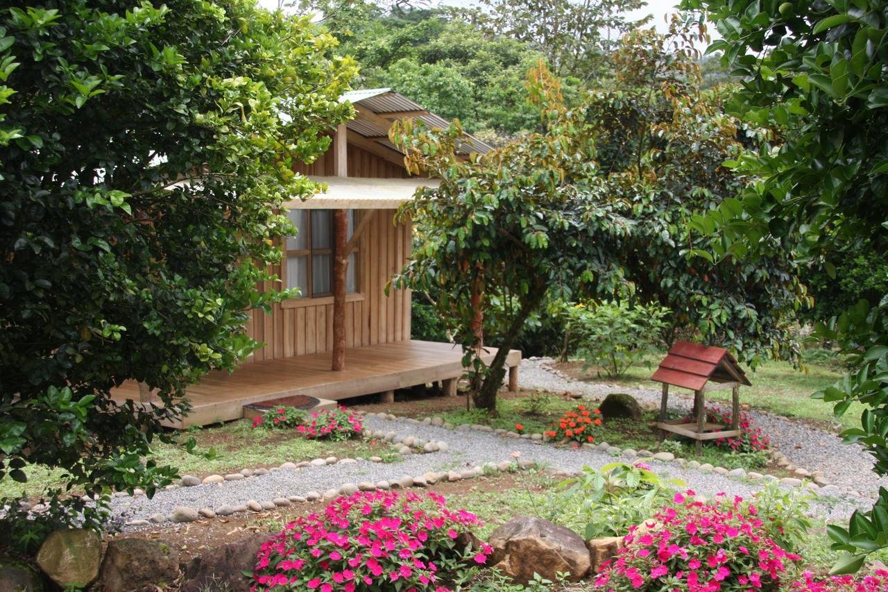 Finca Amistad Cacao Lodge Bijagua Dış mekan fotoğraf