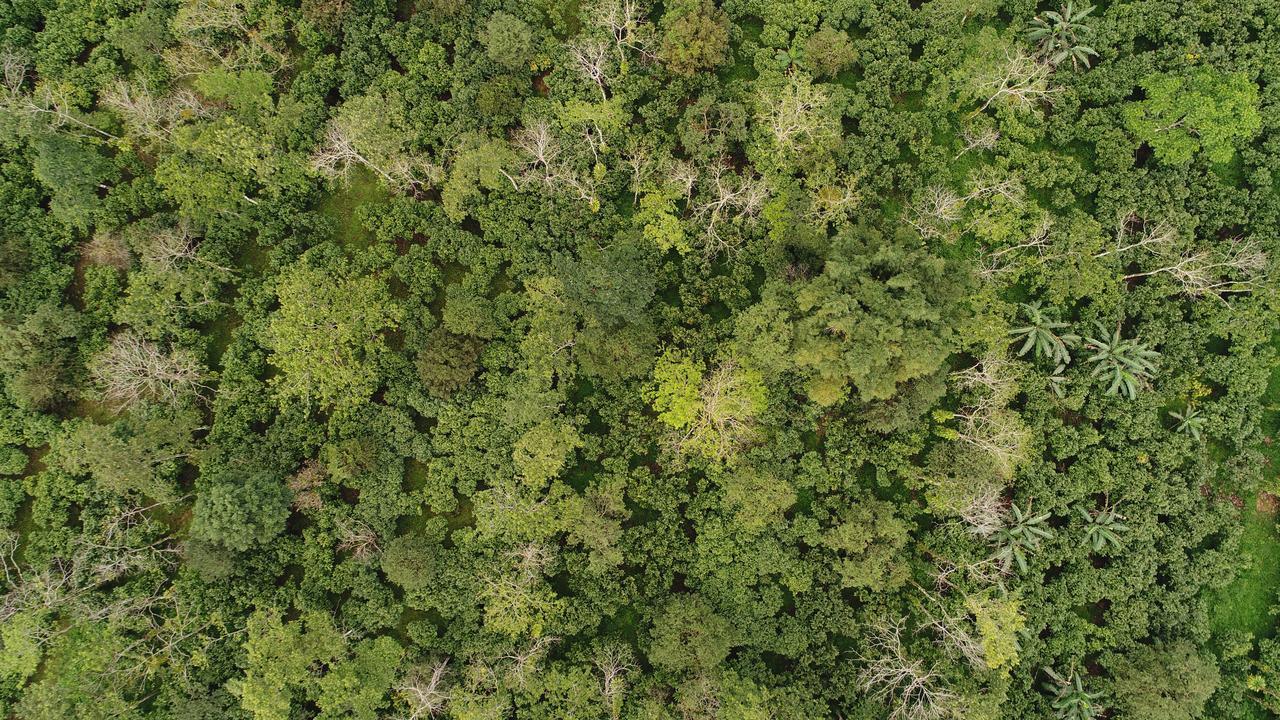 Finca Amistad Cacao Lodge Bijagua Dış mekan fotoğraf