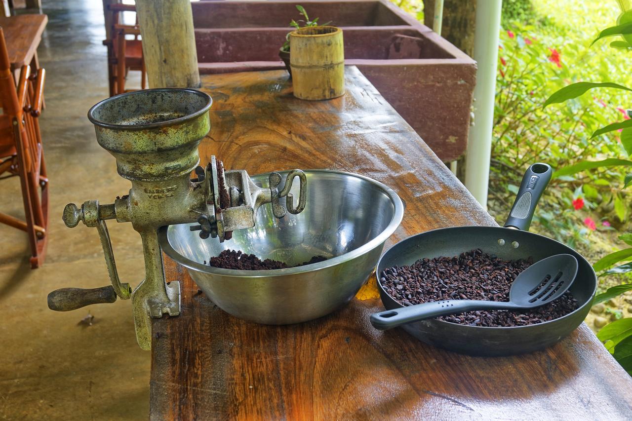 Finca Amistad Cacao Lodge Bijagua Dış mekan fotoğraf