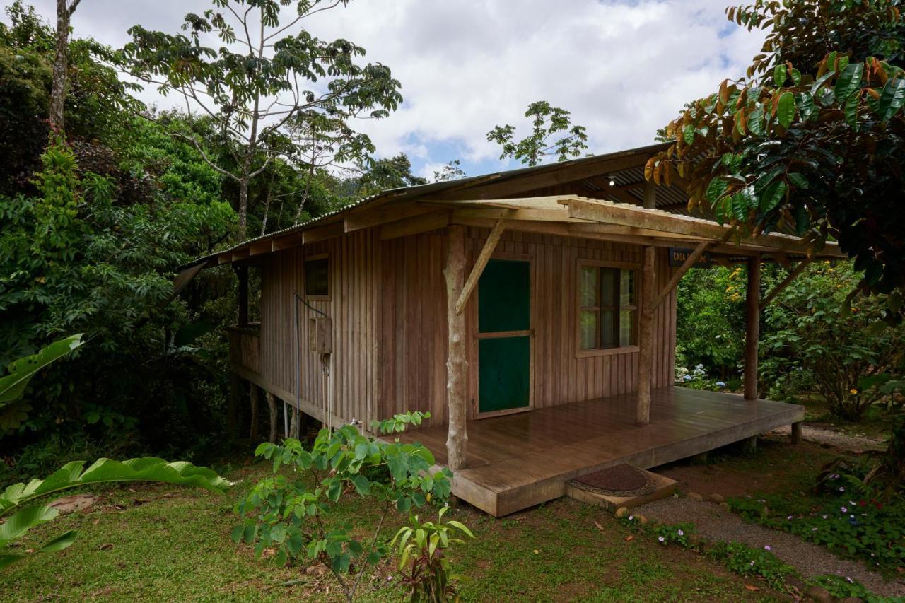 Finca Amistad Cacao Lodge Bijagua Dış mekan fotoğraf