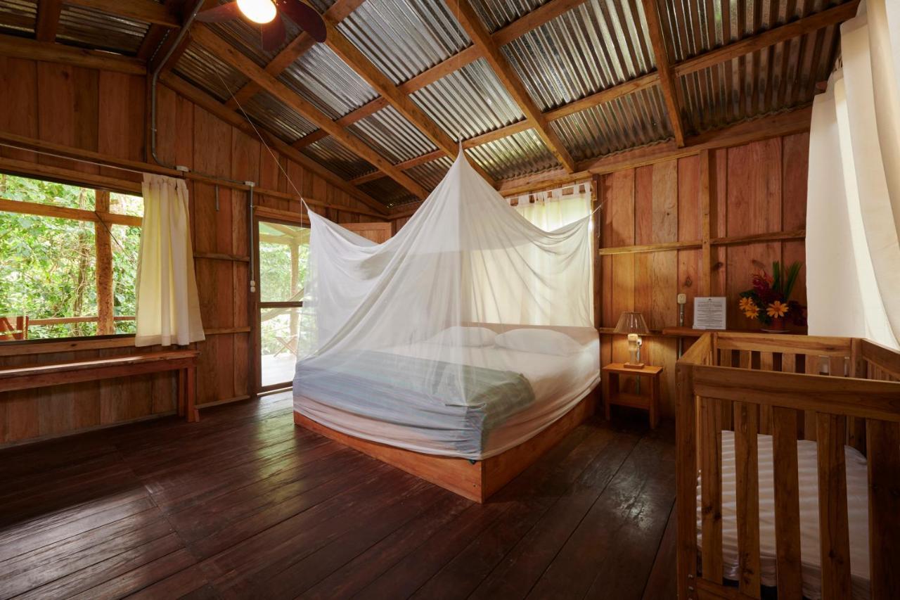Finca Amistad Cacao Lodge Bijagua Dış mekan fotoğraf