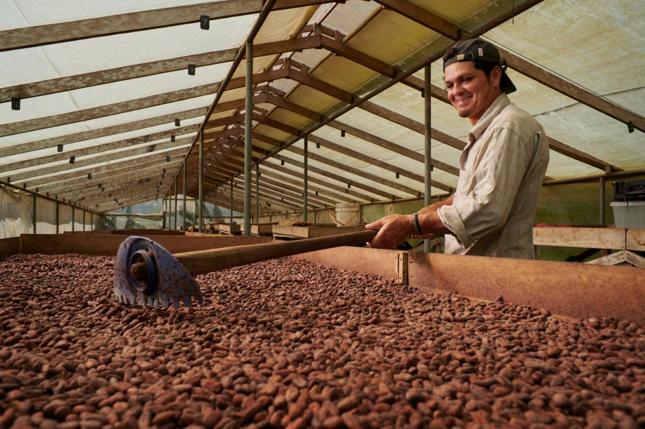 Finca Amistad Cacao Lodge Bijagua Dış mekan fotoğraf